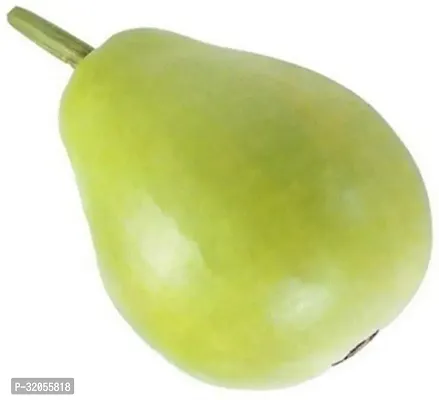 Round Bottle Gourd, Ghiya-150 Seeds per packet-thumb0