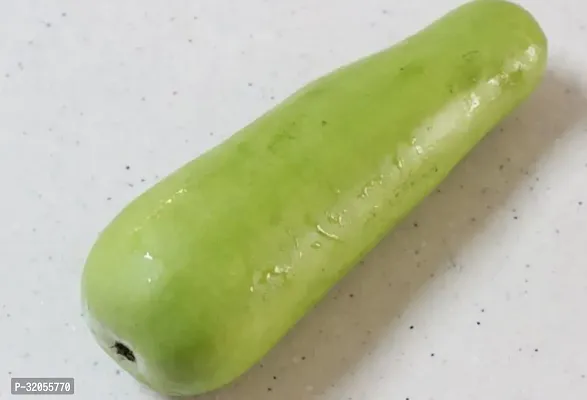 Bottle Gourd Seeds-50 Seeds per packet-thumb0