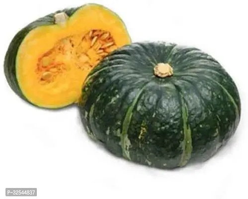 Avysa K206 Pumpkin squash plant Vegetable Cucurbita moschata Seeds, 200 Seeds-thumb0