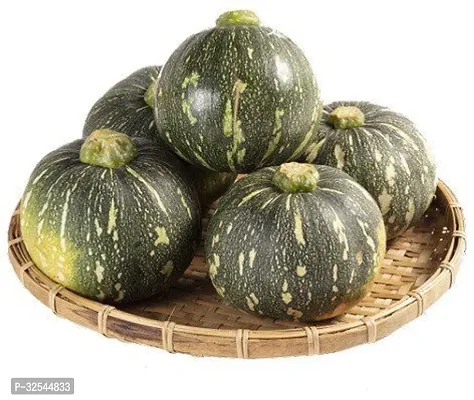 Avysa K204 Pumpkin seeds Hybrid Seeds for Home Gardening, 400 Seeds