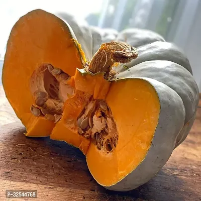 Pumpkin Squash Vegetable Seeds, 400 Seeds