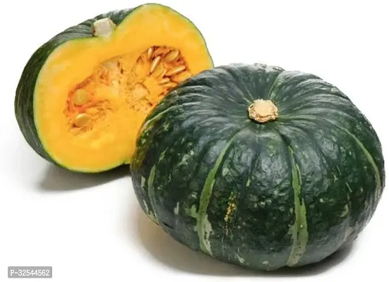 Avysa K68 Pumpkin squash plant Vegetable Cucurbita moschata Seeds, 100 Seeds-thumb0