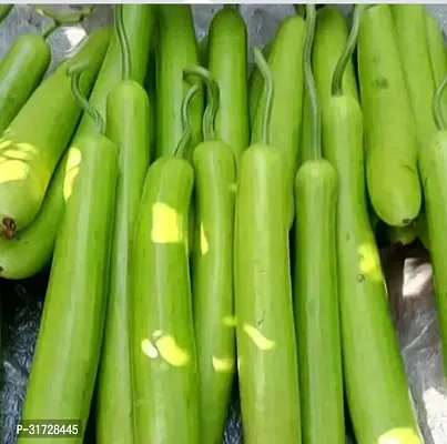 Long Bottle Gourd-107-Sd-80-Seeds-thumb0