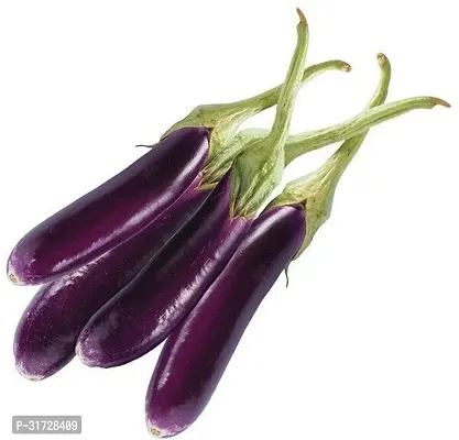 Round Purple Brinjal-89 -FR- 2500-SD-thumb0