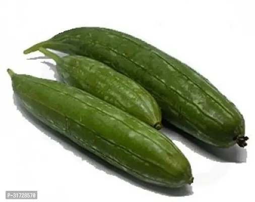 SD-1146 Sponge Gourd-400-Seeds