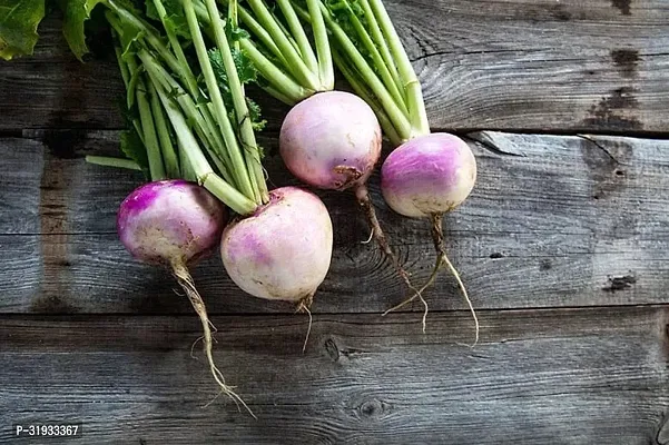 Vegetable Organic Turnip Seeds -1200Seeds