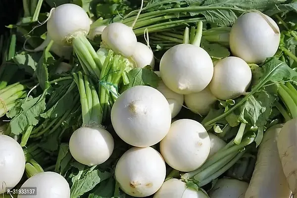 Vegetable Organic Turnip Seeds 200Seeds