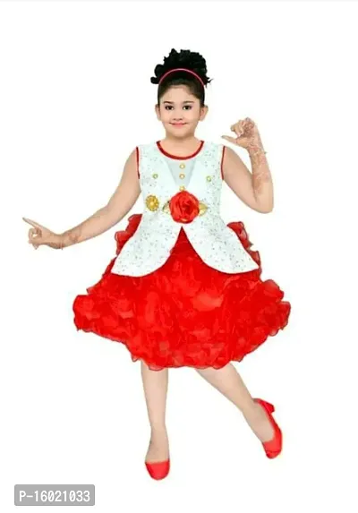 Fancy Net Frock Dress For Girls