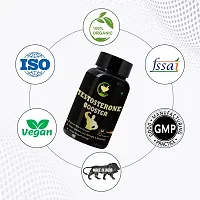 FIJ AYURVEDA Testosterone Booster Capsule for Muscle Growth  Energy Booster  Stamina Booster | Testosterone | with Shilajit, Safed Musli, Ashwagandha Extract - 500mg 60 Capsules Ayurvedic Products-thumb3