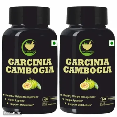 FIJ AYURVEDA Garcinia Cambogia Supplement with Green tea  Green coffee Extract Helps in Weight Management  Fat Burner for Men  Women ndash; 500mg 60 Capsules (Pack of 2)
