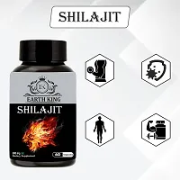 EARTH KING Shilajit/Shilajeet Capsule Supports Strength, Stamina  Energy - 500mg 60 Capsules (Pack of 1)-thumb1