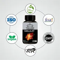 EARTH KING Shilajit/Shilajeet Capsule Supports Strength, Stamina  Energy - 500mg 60 Capsules (Pack of 1)-thumb2