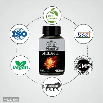 EARTH KING Shilajit/Shilajeet Capsule Supports Strength, Stamina  Energy - 500mg 60 Capsules (Pack of 1)-thumb3