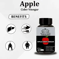 EARTH KING Apple Cider Vinegar Capsule Support Weight Management, | Fat Loss | Boost Energy | Cholesterol  Supports Digestive Health ndash; 500mg 60 Veg Capsules-thumb1