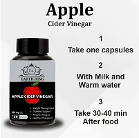 EARTH KING Apple Cider Vinegar Capsule Support Weight Management, | Fat Loss | Boost Energy | Cholesterol  Supports Digestive Health ndash; 500mg 60 Veg Capsules-thumb2