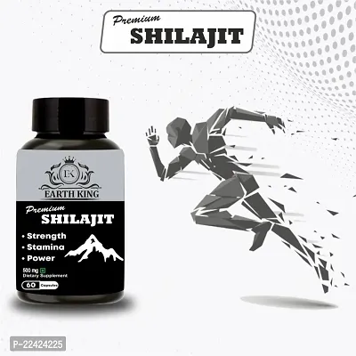 EARTH KING Premium Shilajit/Shilajeet Extract Capsule - 500mg 60 Capsules (Pack of 2)-thumb4