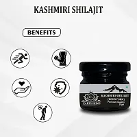 EARTH KING Kashmiri Shilajit/Shilajit Resin | Raw Shilajit | (Semi Liquid) - 40Gm (Pack of 1)-thumb1