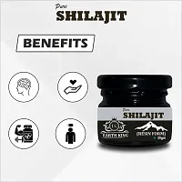 EARTH KING Pure Ayurvedic Shilajit/Shilajit Resin | Raw Shilajit | (Semi Liquid) - 40Gm (Pack of 1)-thumb1