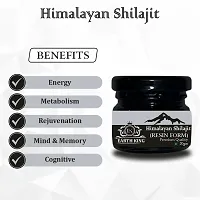 EARTH KING Himalayan Shilajit/Shilajit Resin (Semi Liquid) - 40Gm (Pack of 2)-thumb1