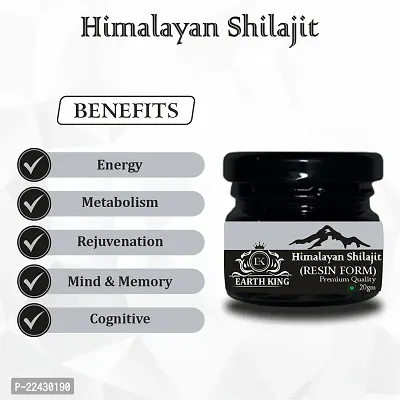 EARTH KING Himalayan Shilajit/Shilajit Resin (Semi Liquid) - 40Gm (Pack of 2)-thumb2