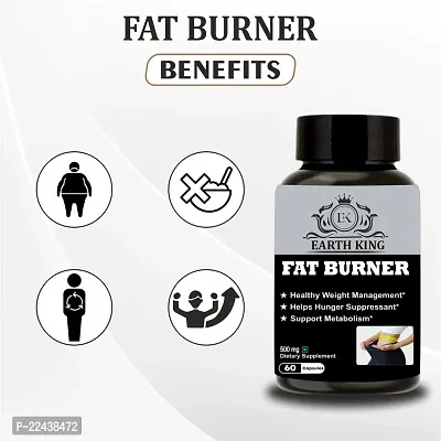 EARTH KING Fat Burner Capsule Helps in Hunger Suppressant, Fat Loss  Weight Loss Supplement for Men  Women ndash; 500mg 60 Capsules (Pack of 2)-thumb2