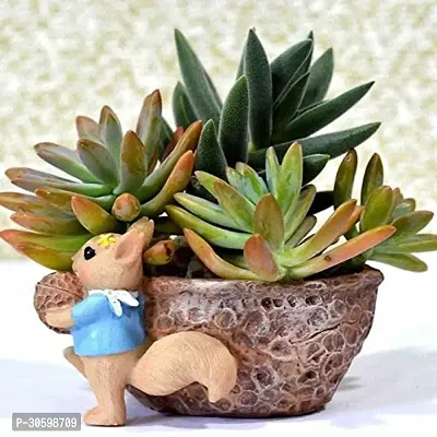 Trendy Cute Resin Flower Pots Without Plant - Pack of 1