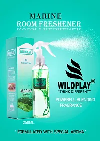 Wildplay marine 250ml room Freshener 1pc.-thumb1