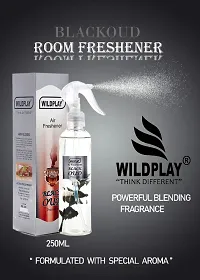 Wildplay Balckoud 250ml room freshener 1pc.-thumb1