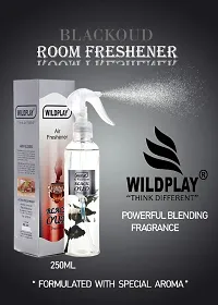 Wildplay Room Freshener Blackoud 250ml 1pc. and Rajniagndha 250ml 1pc.-thumb2