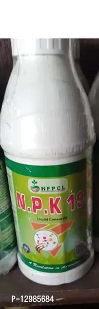 N.P.K 19