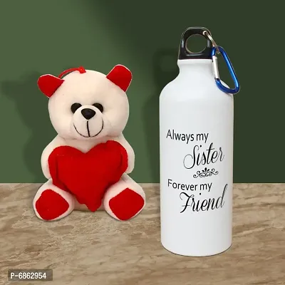 Rakhi Gift for Sister Printed Shipper bottle with Cute little Teddy