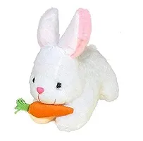 Rabbit With Carrot Stuffed Soft Plush Toy White 30 Cm-thumb1