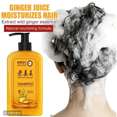 Ginger Hair Dye Instant Hair Growth Shampoo | Ginger Anti-Dandruff Shampoo For Healthy Scalp  Hair | Daily Use Shampoo | Damage Repairs | Scalp Nourishing Ginger Shampoo for Hair Growth  Healthy Hai-thumb0