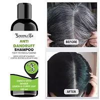 SOMWRITA Professional Anti Dandruff Shampoo Enrich - 100ml-thumb4