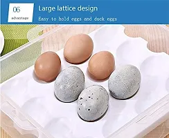 Double Layer All in One Egg Storage Box-thumb1