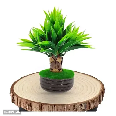 Natural Looking Artificial Coconut Tree Flower For Indoor Home Shop And Office Wild Artificial Plant with Pot-thumb0