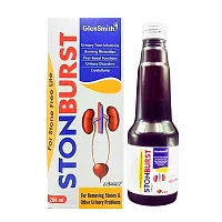 Ayurvedic  STONBRUST  Syrup 200ml (pack of 2)-thumb2