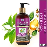 Combo Of Tea Tree Shampoo 300 ML And Moroccan Argan Hair Oil 200 ML For Anti Hair Fall For Damaged and Weak Hair Care-thumb3
