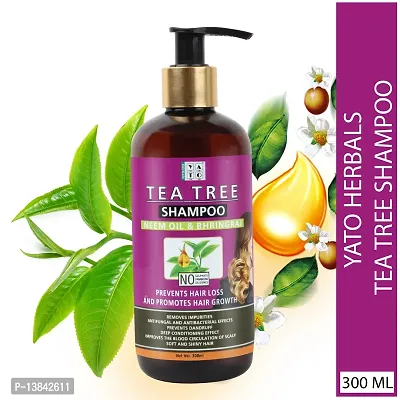 Combo Of Tea Tree Shampoo 300 ML And Moroccan Argan Hair Oil 200 ML For Anti Hair Fall For Damaged and Weak Hair Care-thumb4