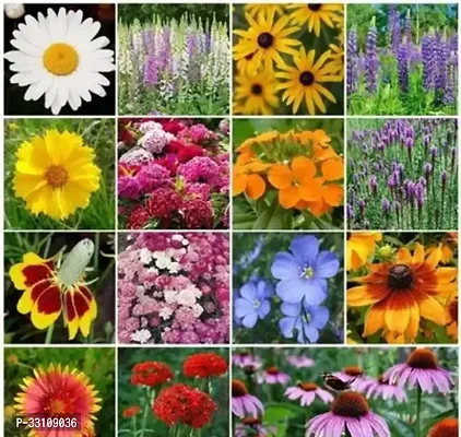 flower seeds for home garden flowers combo of 16 packet of seeds winter summer spring all season flowering seeds for pots outdoor and indoor flower plants for home-thumb0