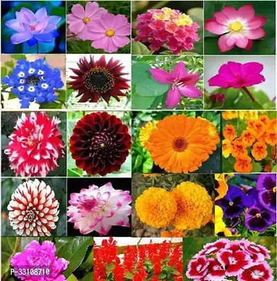 19 varieties of flowers seeds combo for home garden flowers all season flowering seeds for pots outdoor and indoor flower plants for home-thumb0