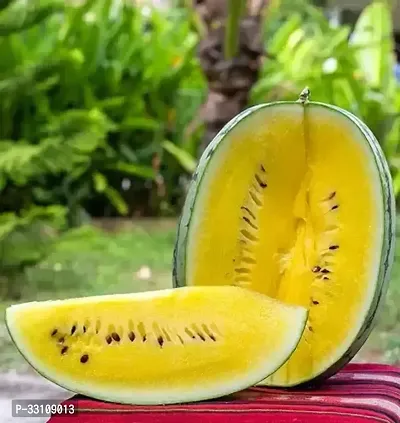 yellow watermelon f1 hybrid seeds pack of 5 seeds