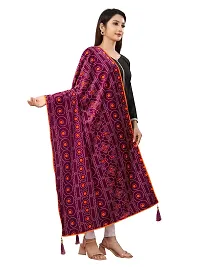 Trendy Velvet Shawl For Women-thumb2