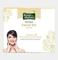 Roop Mantra Herbal Facial Kit - 240g-thumb1