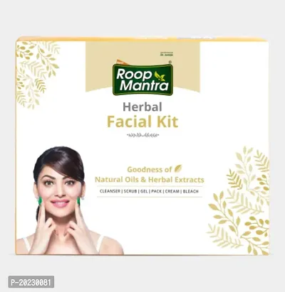 Roop Mantra Herbal Facial Kit - 240g-thumb2