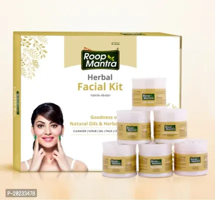 Roop Mantra Herbal Facial Kit - 240g PC OF 4-thumb3