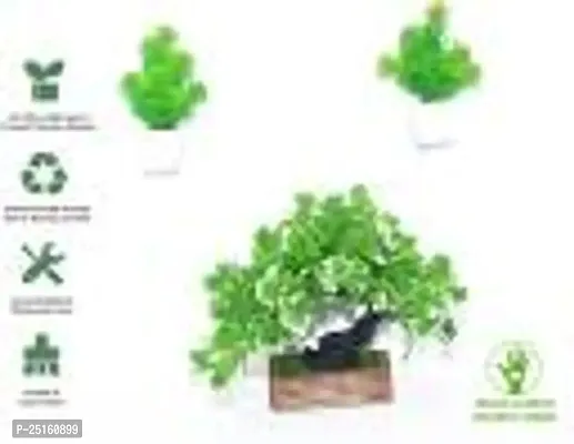 Elegant Bonsai  Wild Artificial Plant With Pot Pack of 3-thumb2