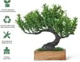 Elegant Bonsai  Wild Artificial Plant With Pot Pack of 1-thumb2