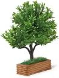 Elegant Bonsai Wild Artificial Plant With Pot Pack of 1-thumb2