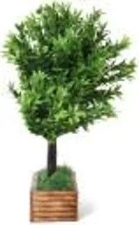 Elegant Bonsai Wild Artificial Plant With Pot Pack of 1-thumb1